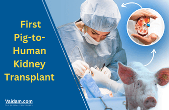 US Surgeons Perform the First Pig-to-Human Kidney Transplant