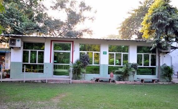 Bapu Nature Cure Hospital and Yogashram 4