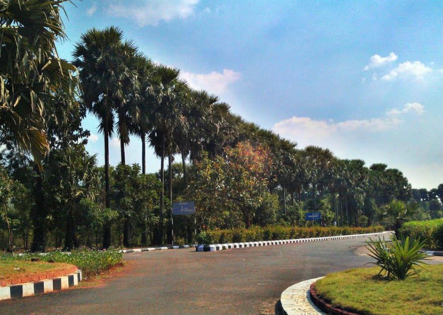 Ahalia Ayurveda Hospital, Kerala 2
