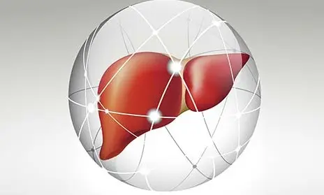 Liver transplant in Turkey - vaidam Liver transplant in Turkey - vaidam