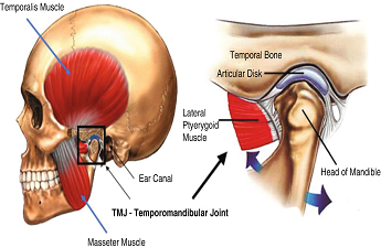 Temporomandibular Joints and its Treatment By Implantologist Dr. Fawaz Ali Majali