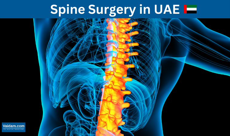 Spine UAE