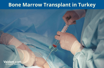 transplant de măduvă osoasă în curcan