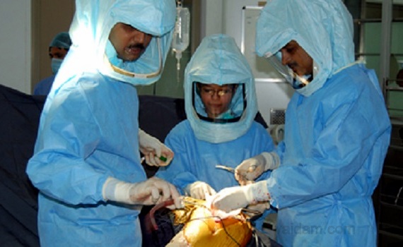 Doctors Performing Task