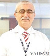 Best Doctors In Turkey - Dr. Bingur Sonmez, Istanbul