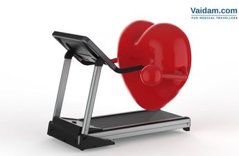 Healthy Heart -Cardiovascular Disease Link