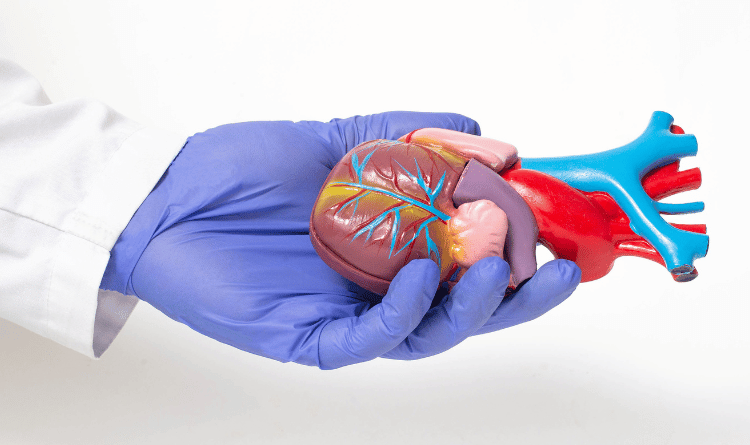 heart transplant intro image