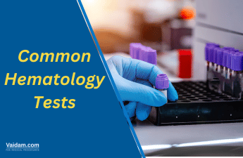 The Complete Guide to Common Hematology Tests: An Overview