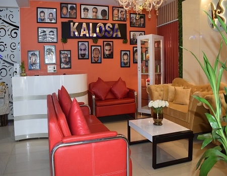 Kalosa Hair Transplant, Cosmetic and Gynae Clinic, Gurgaon - Doctor List,  Address, Appointment 
