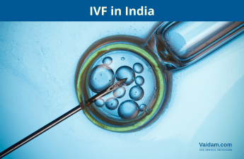 ivf with donor eggs cost in india