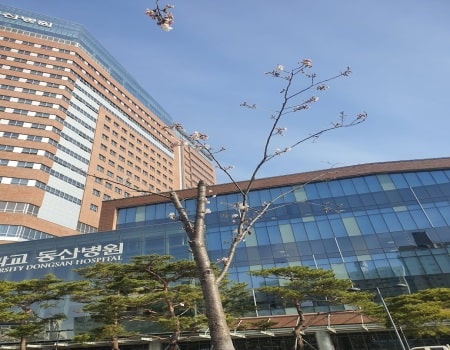 Keimyung University – Dongsan Medical Center