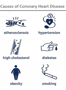 Causes of Coronary Heart Disease