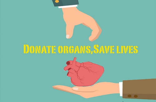 liver transplant cost in India