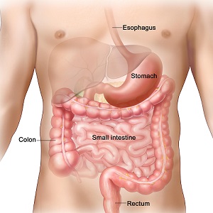 Gastrointestinal surgery