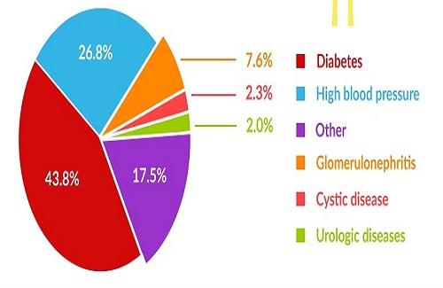 health disorders that require kidney transplantation