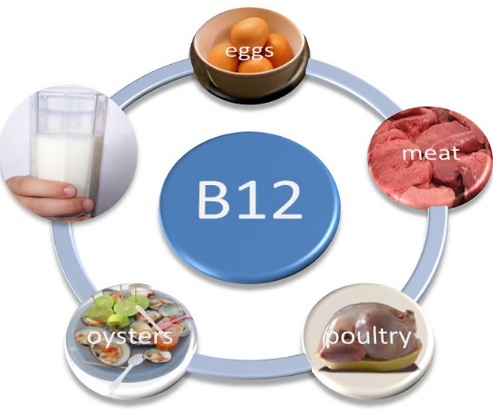 Vitamin B12 test cost