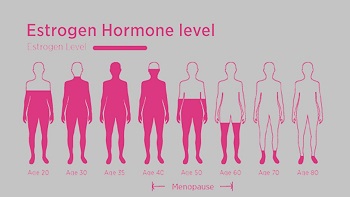 Levels of estrogen