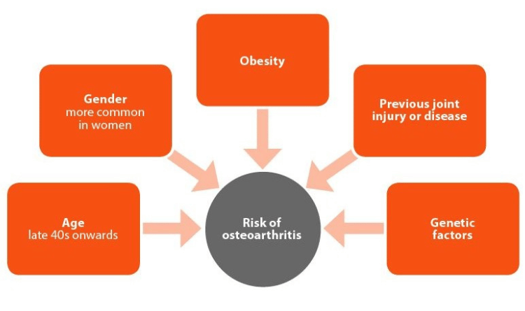 osteoarthritis risk factors