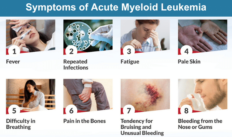 acute myeloid leukemia symptoms