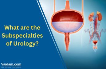 What are the Subspecialties of Urology?